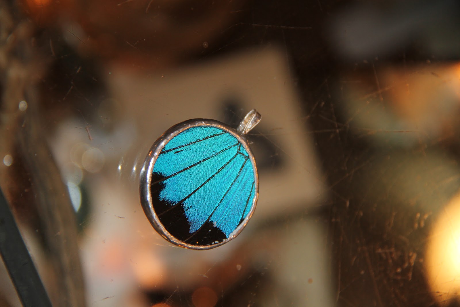 Circle Morpho framing